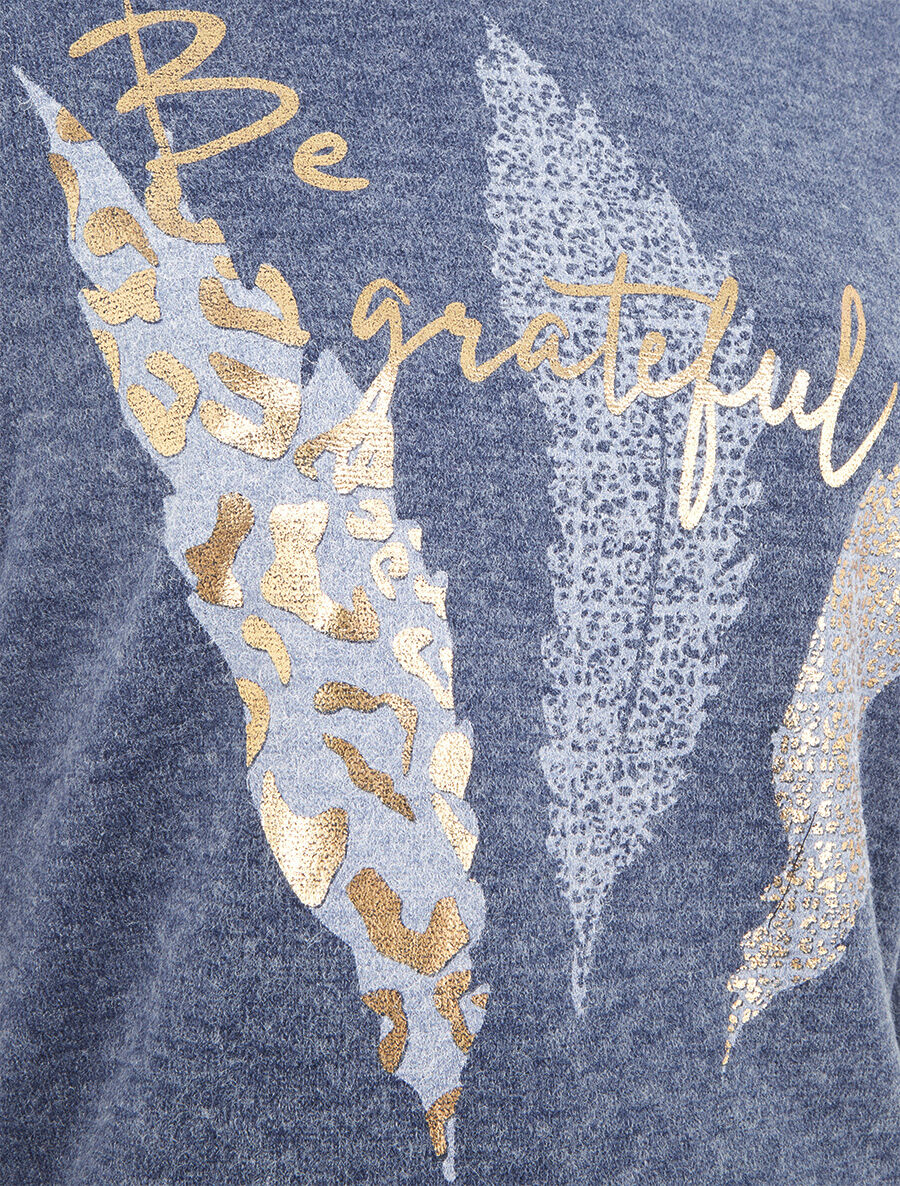 Pull à imprimé plumes floqué léopard - Bleu chiné - 3