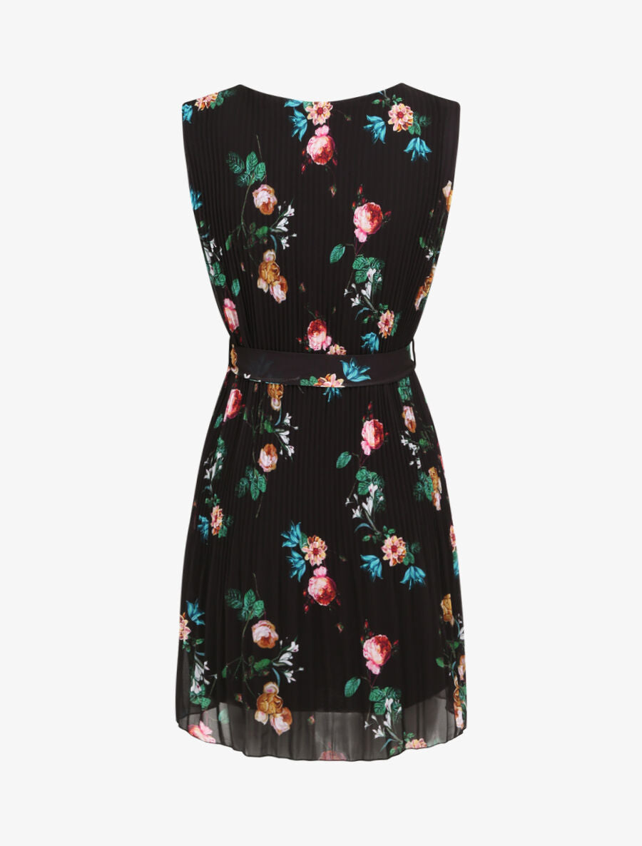 Robe plissée imprimé roses sauvages - Noir - 2